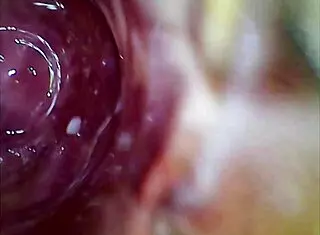 Real Pussy Orgasm Contractions With Cum Inside Under Microscope