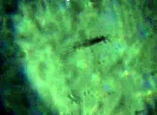 Here is more of my product to reach you