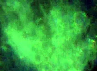 Here is more of my product to reach you