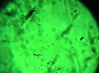 Here is more of my product to reach you