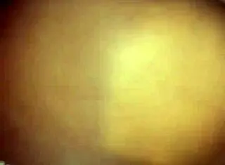 Massive Cock Pounds From Behind In Steamy Doggystyle That Contrasts Gentle Touches With Raw Intensity