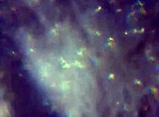 Here is more of my product to reach you