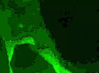 Bj and finger action with chubby mature