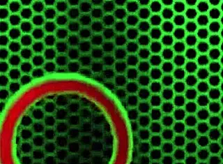 big tits lesbian beauties tasha reign hint at pussy licking