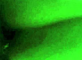 Cheating whore wife gets pussy creampie in wedding affair