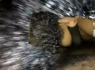 BBW boldly sucks fat cock in intense blowjob action