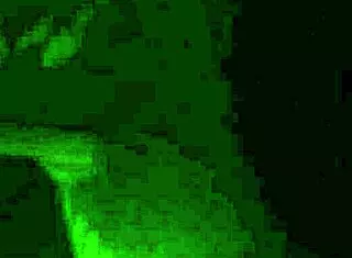 Bj and finger action with chubby mature