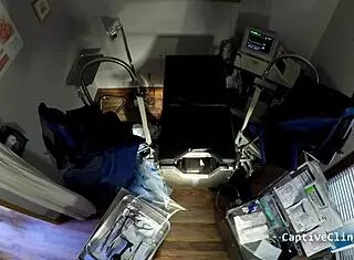 Trump These Bitches In Jail Edition With Donna Leigh