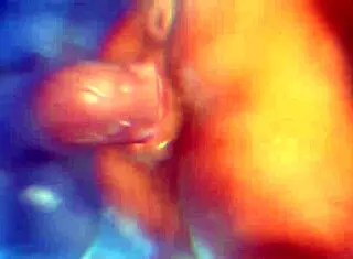 The edit of FURRY zonkpunch unfolds in a creative narrative style.