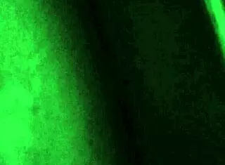 Oh, vizinha gemendo loudly as she leva hard pau!