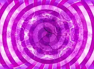 Breed Me Sissy Training Teaser