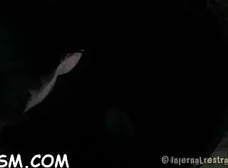 Frisky brunette cutie explores deep sex-toy action with bondage and bdsm toys