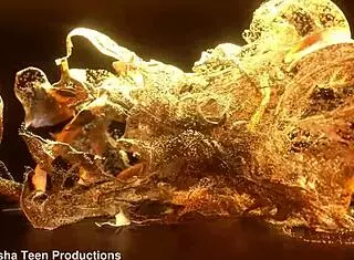 Newbie Lynn Drew tries first anal with Lancelot in casting including gaping and big black cock 😈