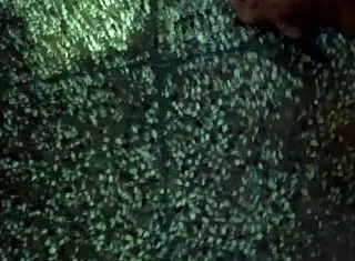 hey, it's that time for some solo masturbation fun 😏