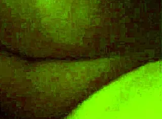 white cock slams deep into big ebony ass with intense deepthroat action 🍆