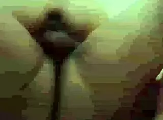 Why did the roscas seller get so hot that we ended up together?