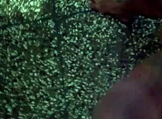 hey, it's that time for some solo masturbation fun 😏