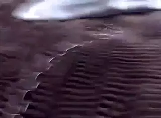 Fun roleplay as queen boudicca buying and breaking in a strong male specimen for the night