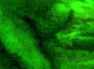 hey can you tell me more about this wet amateur experience?