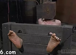 I crave that intense hardcore blowjob action.