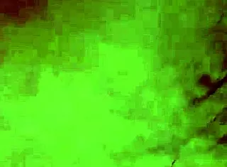 big horny guy holds back cumshot for 10 intense days