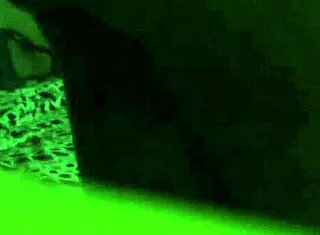 Dialogic-Provocative Blowjob from sexy shemale by boy, ready for that intense ass action?