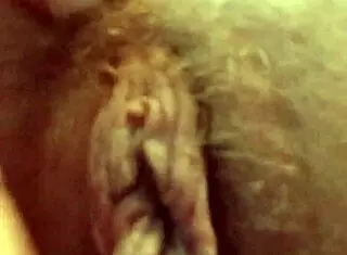 Buongiorno fans, uh, I mean good morning to all my european curvy neighbors with feet domination vibes...