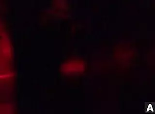 arab girl shows big tits dancing while facing first time in afgan whorehouses