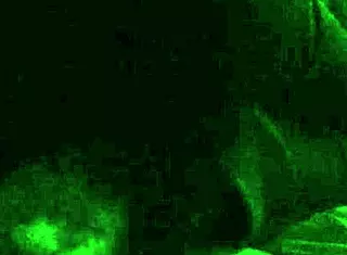 hey, this amateur bbw milf scarlet doll is deepthroating like a pro in this fat fuck doll scene 😏