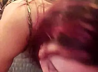 Black Bulls Bunny Ravishing Ray Main Bunny