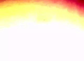 So this pendeja's just casually SHOVING a toy up her ASS, what a massive culo she's got