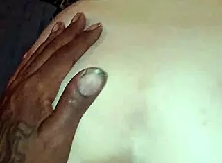 Black Bulls Bunny Ravishing Ray Main Bunny