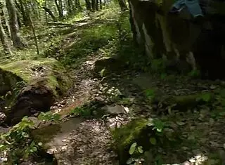 So this girl is walking in the forest and suddenly starts fingering herself after undressing publicly