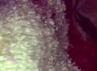 Amateur Latina Gets Bent Over for Homemade Doggystyle Sex in Mexican Style