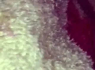 Amateur Latina Gets Bent Over for Homemade Doggystyle Sex in Mexican Style