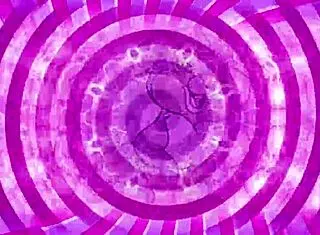 embarking on a fresh start this year with a quick preview