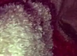 Amateur Latina Gets Bent Over for Homemade Doggystyle Sex in Mexican Style