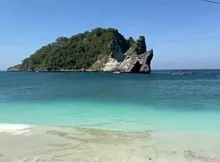 hottie sucks dick on public beach cumwalk with facial