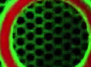 virgo peridot gets her wet pussy drilled deep