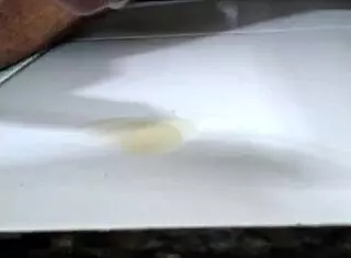 Gozando na escada, whoa that solo cumshot was intense 😅💦