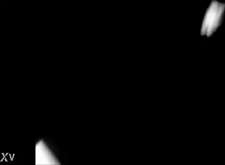 BBW Enjoys Intense Outdoor Fuck Session