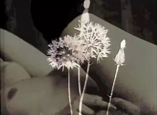 the wonderful world of vintage pornography threesomes