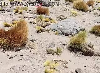 I took my vlog to Bolivia for explicit public sex adventures with Alemão Hub