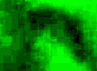 omg she sucked her lover while hubby was at work, total betrayal 😱