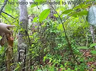 Thai Girl Strolls In Forest For Quick Fuck Before Mushroom Picking In Clear Thai Audio 4k