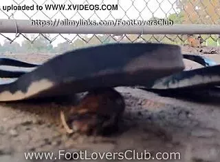 Unaware Latina Giantess Maria Crushes Snails In Candid Foot Fetish Dance