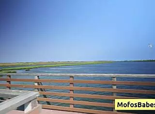 Sexy ebony Eden West with round natural big boobs fingers her pussy before horny friend Charles Dera