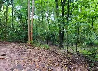 Thai Girl Strolls In Forest For Quick Fuck Before Mushroom Picking In Clear Thai Audio 4k