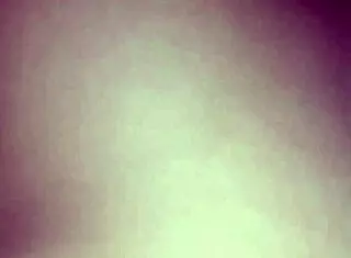 The neighbor's brother-in-law came over and engaged in intense sexual activity