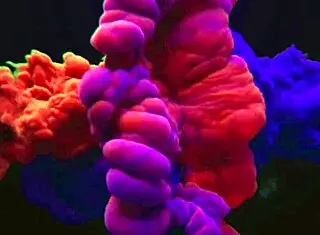 I swapped the shopping mall food court for the bathroom to get some milk from that pornstar Latina milf. She bent over doggystyle in pov during our fetish encounter.